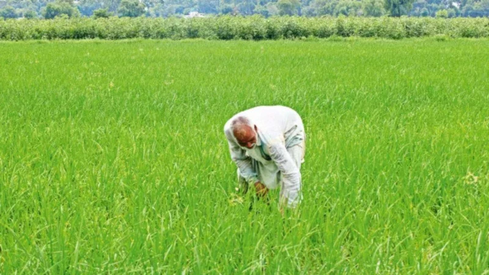 Tripura leads, big states lag: Here’s how 2.5 lakh Gram Panchayats ranked in PAI 2.0 report