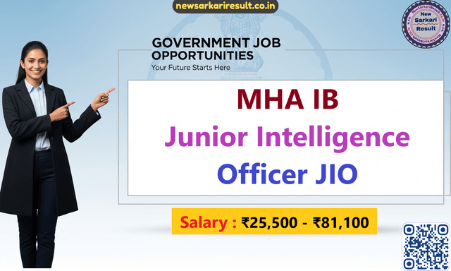 IB Junior Intelligence Officer Image